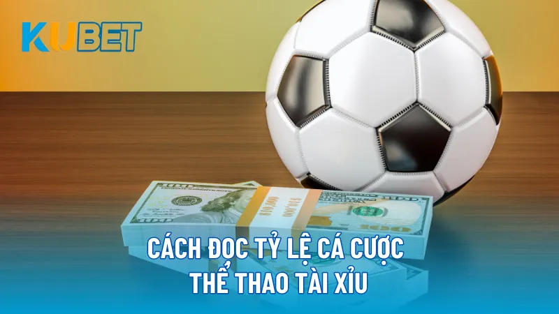 Cách đọc tỷ lệ cá cược thể thao Tài Xỉu