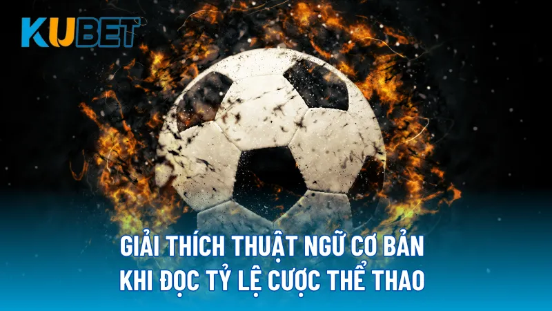 Giải thích thuật ngữ cơ bản khi đọc tỷ lệ cược thể thao 