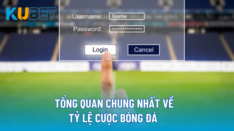 Tổng quan chung nhất về tỷ lệ cược bóng đá  